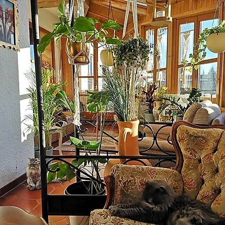 Bed & Breakfast Edel Weiss Gaestezimmer 3*