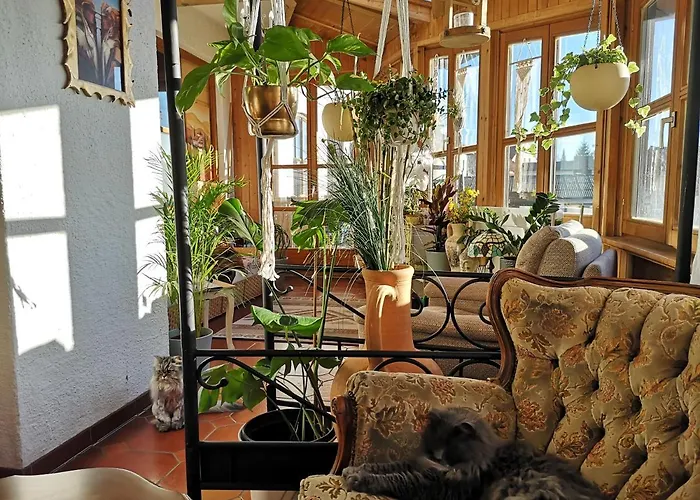 Bed & Breakfast Edel Weiss Gaestezimmer